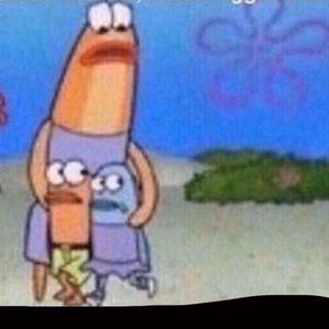 Meet your Posher, Payton